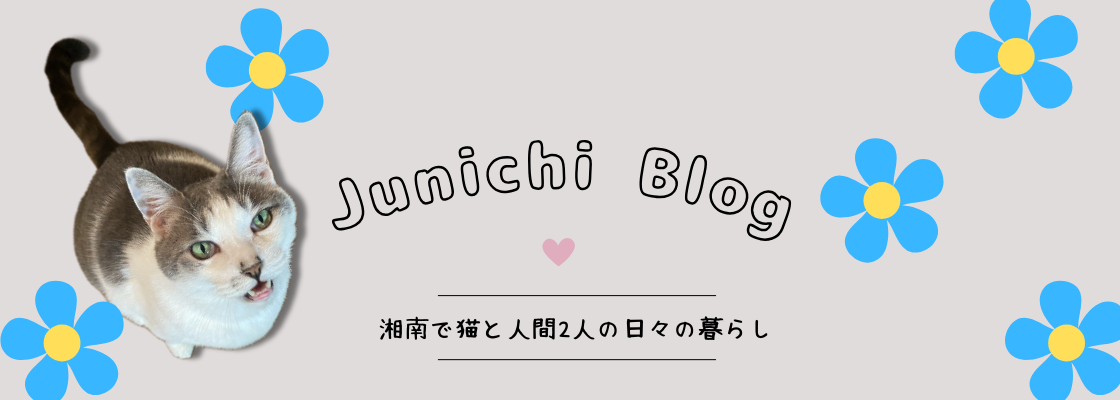 Junichi Blog