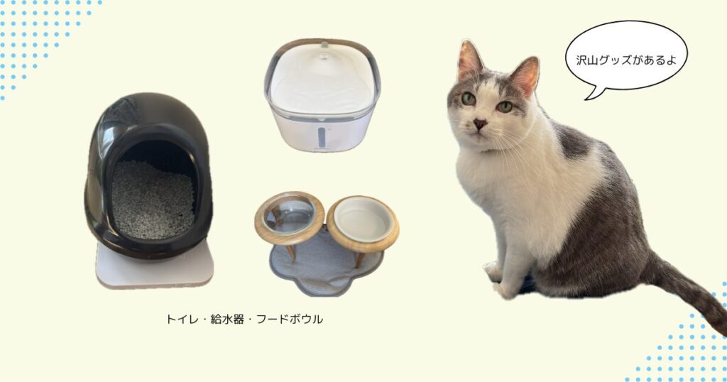 猫に必要なアイテム一例