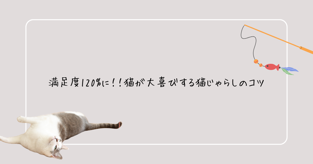 猫じゃらし