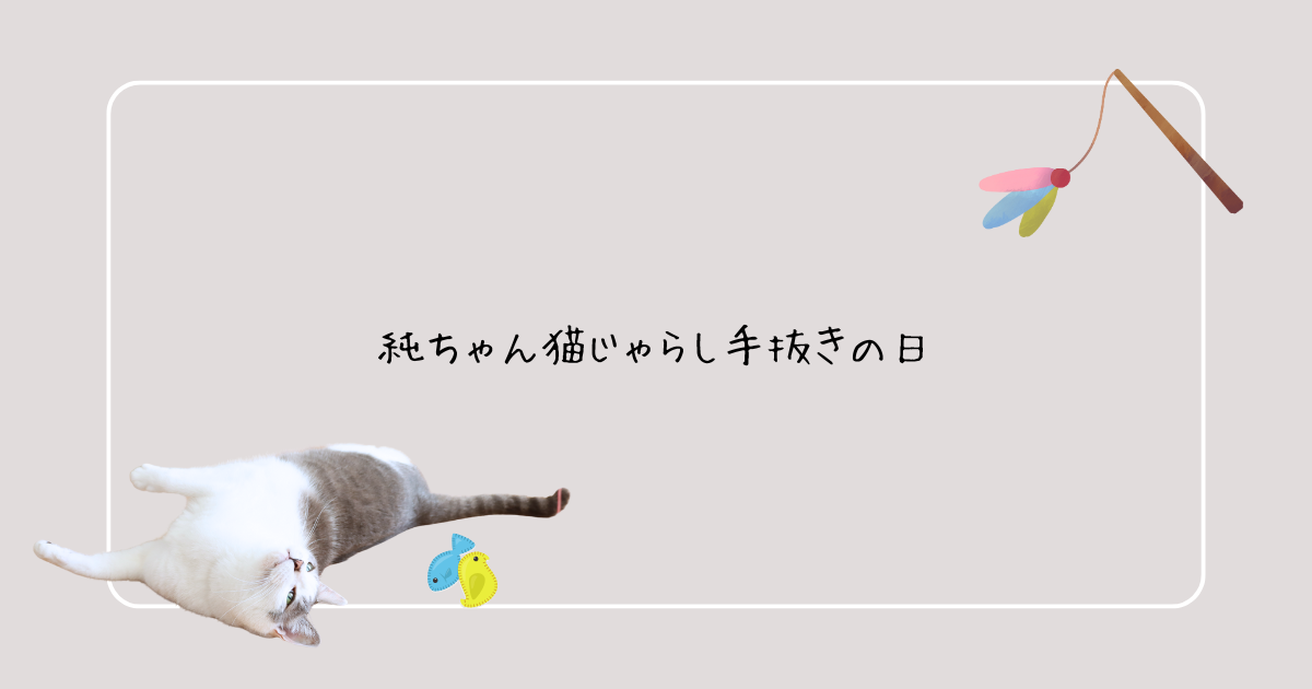 純ちゃん猫じゃらし手抜きの日