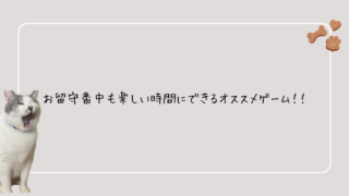 お留守番中も楽しい時間にできるオススメゲーム!!