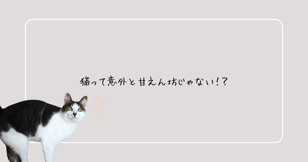 猫って意外と甘えん坊じゃない！？アイキャッチ