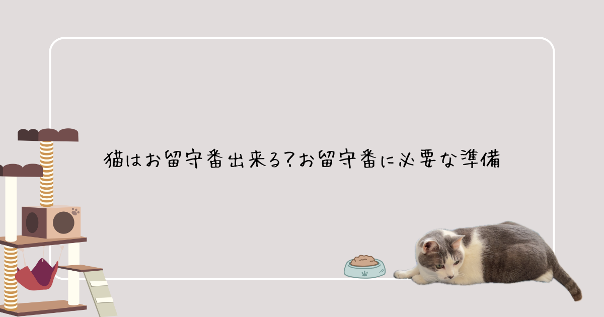 猫はお留守番出来る？お留守番に必要な準備アイキャッチ