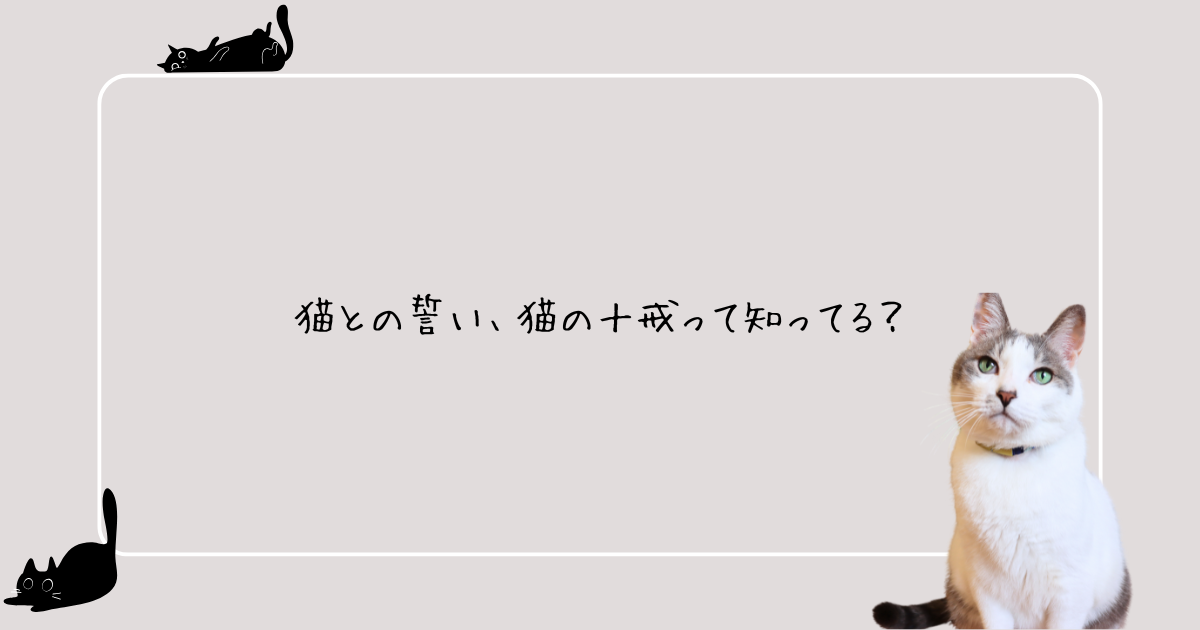 猫のとの誓い、猫の十戒って知ってる？