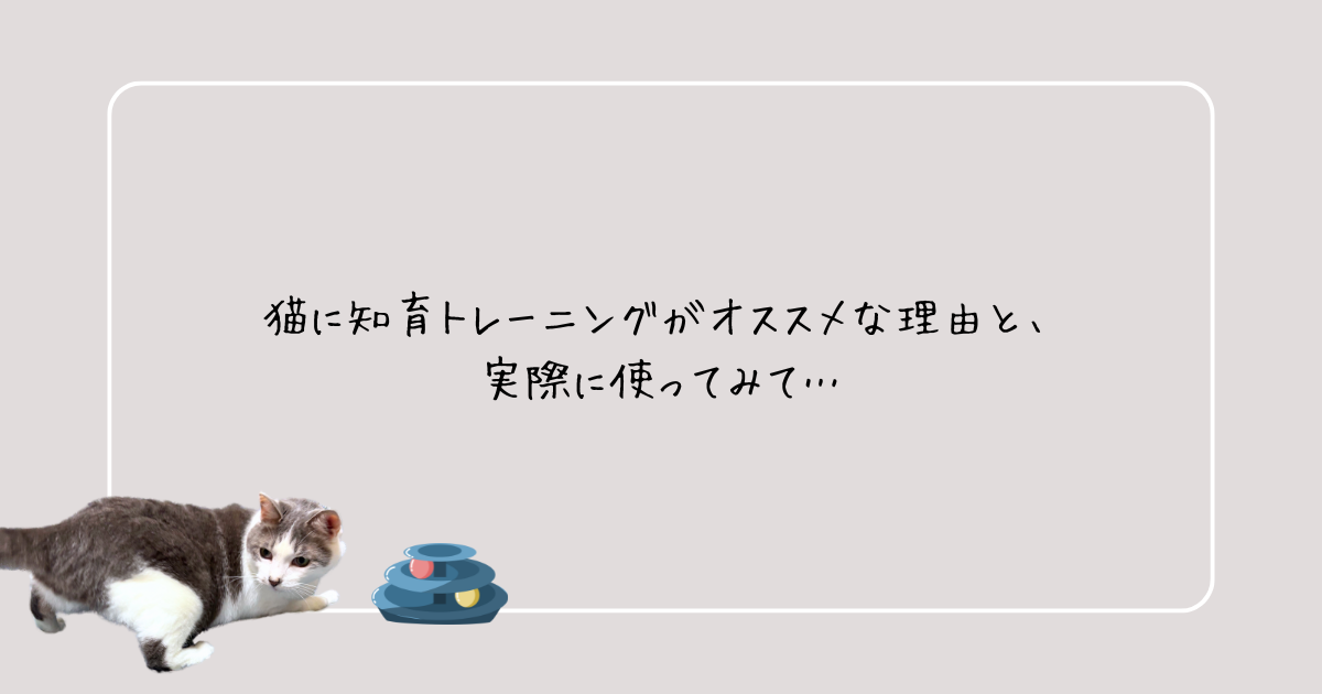 猫に知育トレーニングがオススメな理由アイキャッチ
